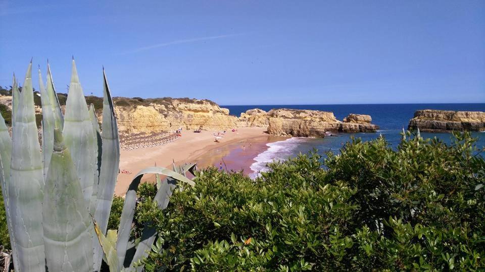 אלבופיירה Villa Lena מראה חיצוני תמונה