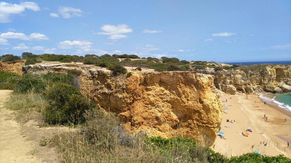 אלבופיירה Villa Lena מראה חיצוני תמונה